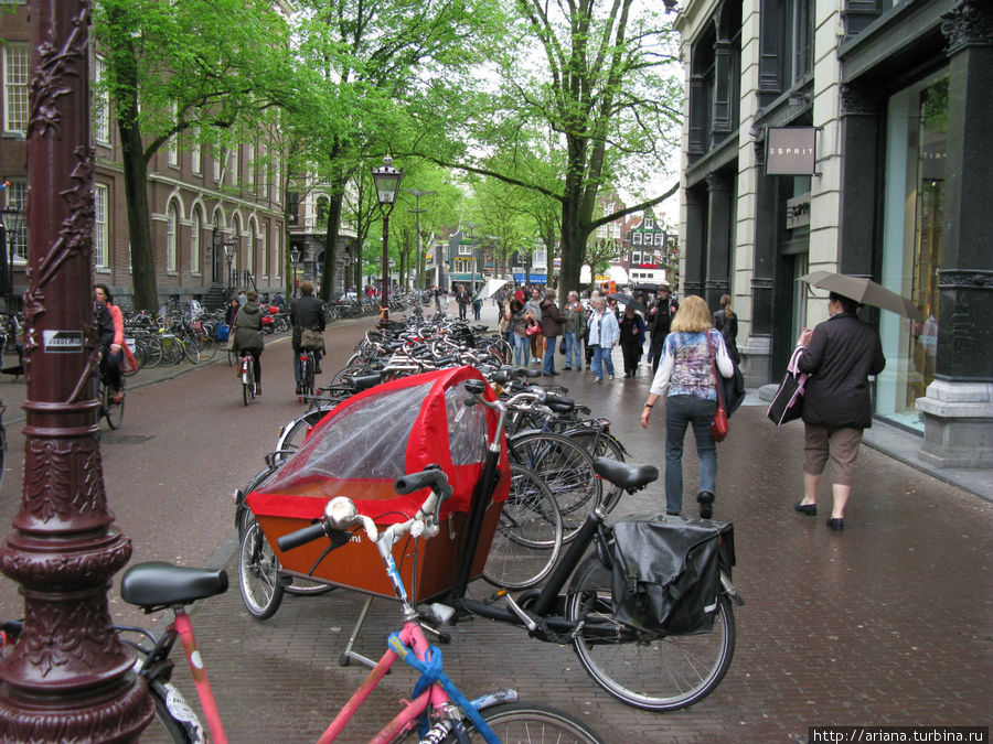 Резвый Амстердам Амстердам, Нидерланды