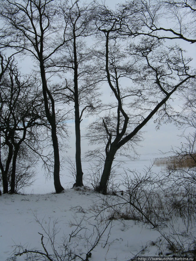 Берег Куршского залива, относительно спокойно Берег Куршского залива, относительно спокойно