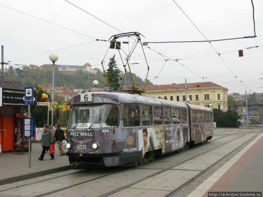 Брно: длинные трамваи, транспорт и быт