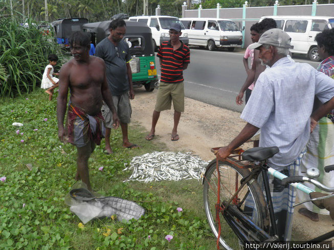 Вот он улов ... Вот он улов ...