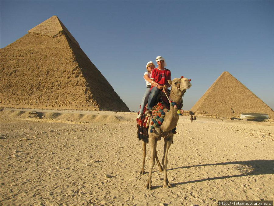 Пирамиды, верблюды  и ...Большой Сфинкс