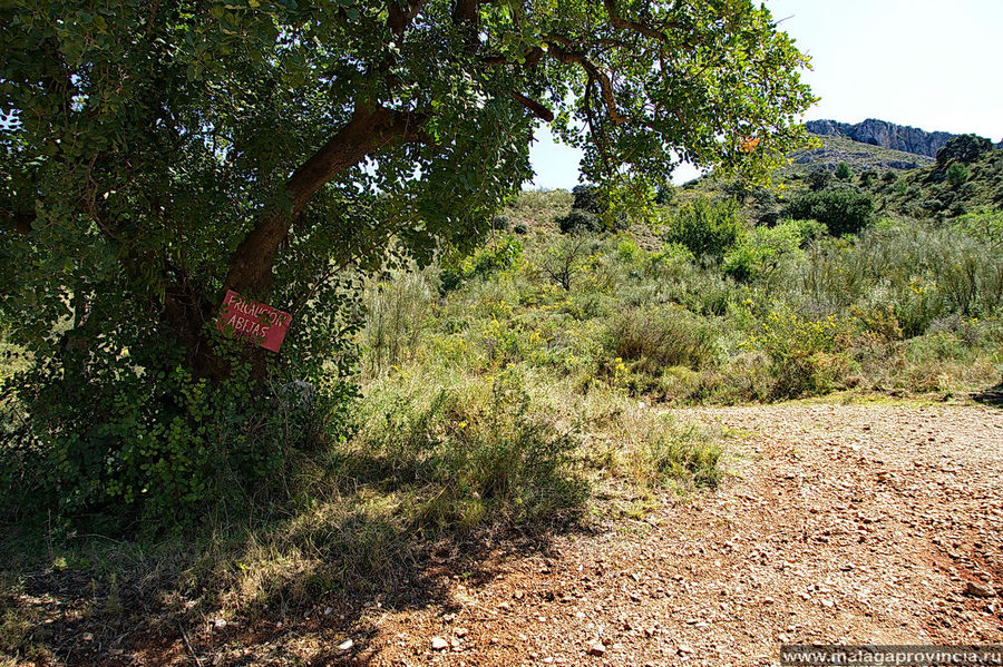Осторожно, пчелы! висят везде таблички Осторожно, пчелы! висят везде таблички