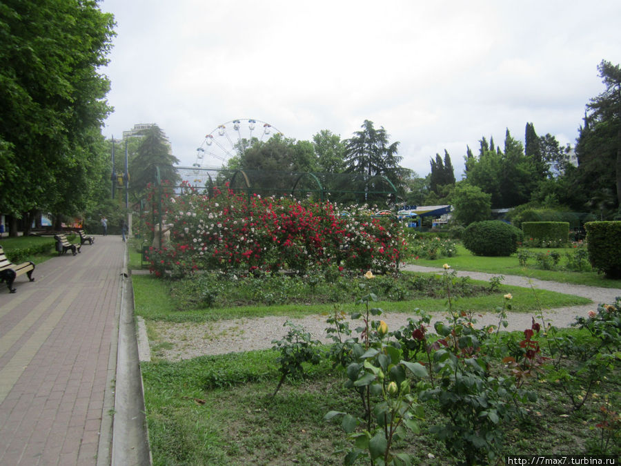 Парк Ривьера Сочи, Россия Парк Ривьера Сочи, Россия