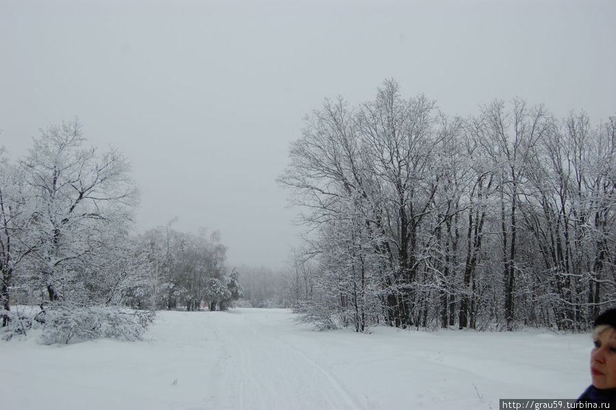 Зима на Кумысной поляне Саратов, Россия