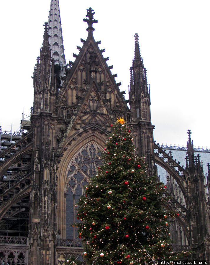 Посреди площади традиционно стоит елка Кёльн, Германия