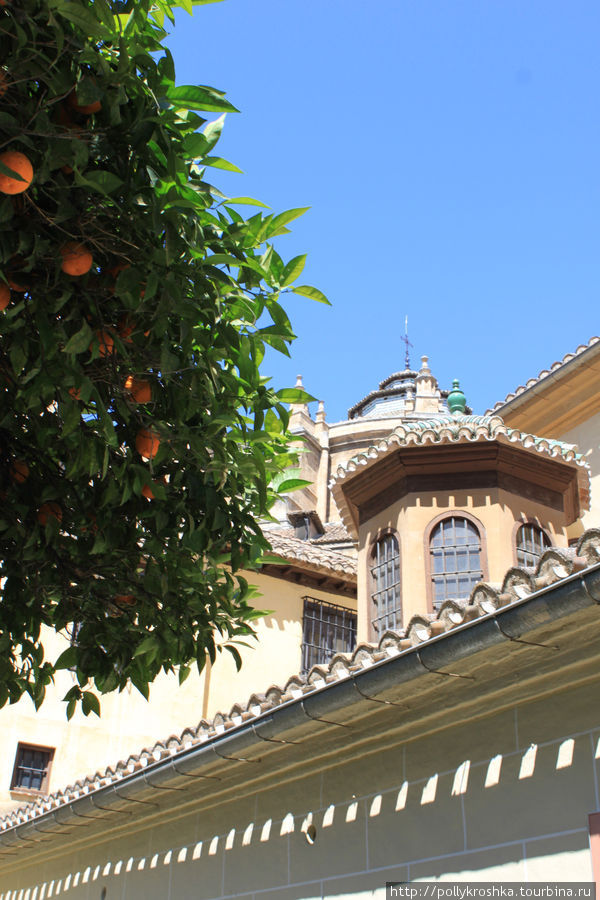Собор под сенью апельсинов Гранада, Испания