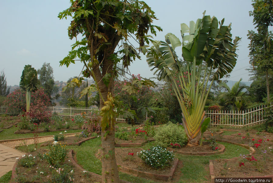 Мемориальный сад в Музее геноцида Руанда Мемориальный сад в Музее геноцида Руанда