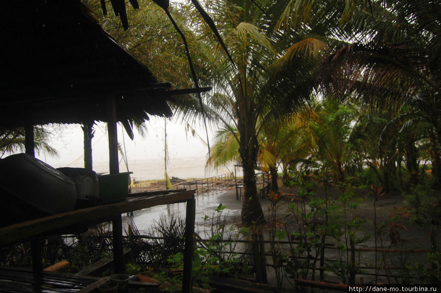 Сезон дождей Провинция Галф, Папуа-Новая Гвинея