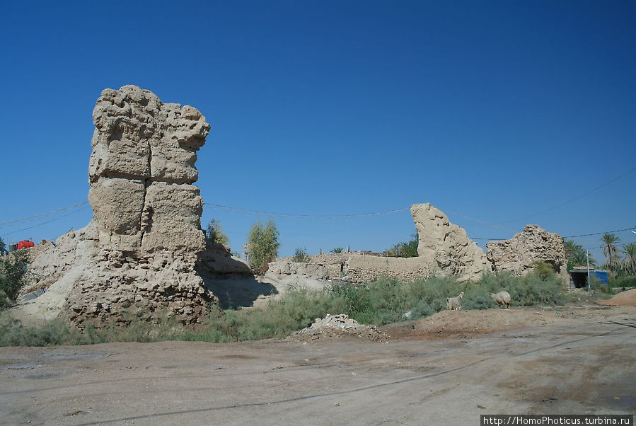 Развалины еврейской крепости Провинция Кербела, Ирак