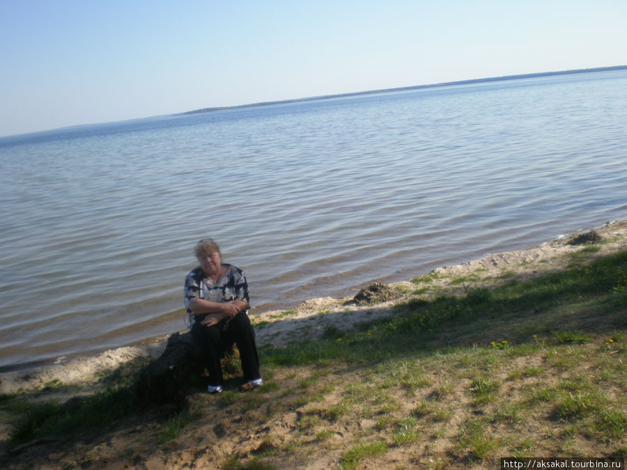 Вот какое оно, озеро Нарочь: до самого горизонта! Нарочанский национальный парк, Беларусь