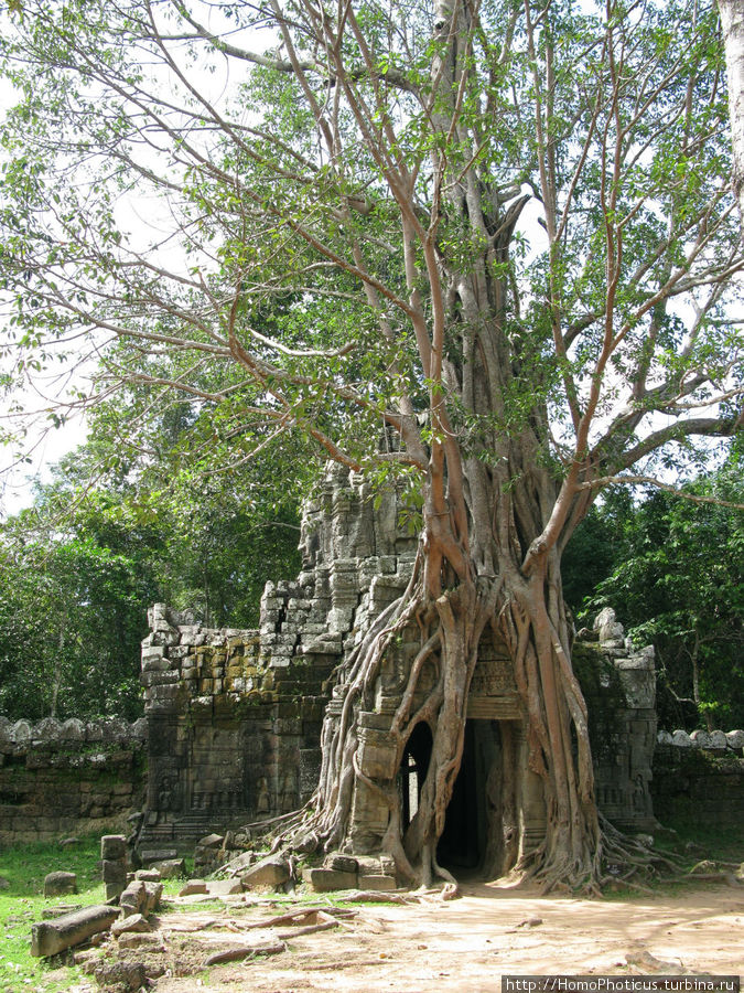 Та Сом Ангкор (столица государства кхмеров), Камбоджа