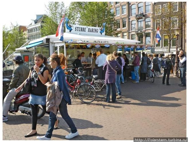 Stubbe's Haring Амстердам, Нидерланды