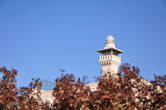 Декабрь на Храмовой горе больше похож на среднеевропейскую осень.