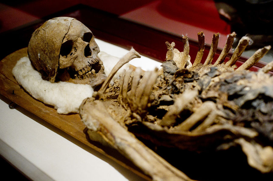 Мумия Табнита из диоритового саркофага, что показан выше. Зря, получается, просил не открывать ) Мумия Табнита из диоритового саркофага, что показан выше. Зря, получается, просил не открывать )