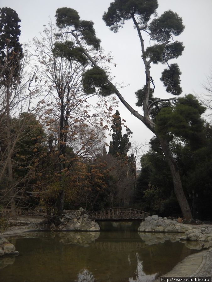 Заковыристые виды Заковыристые виды