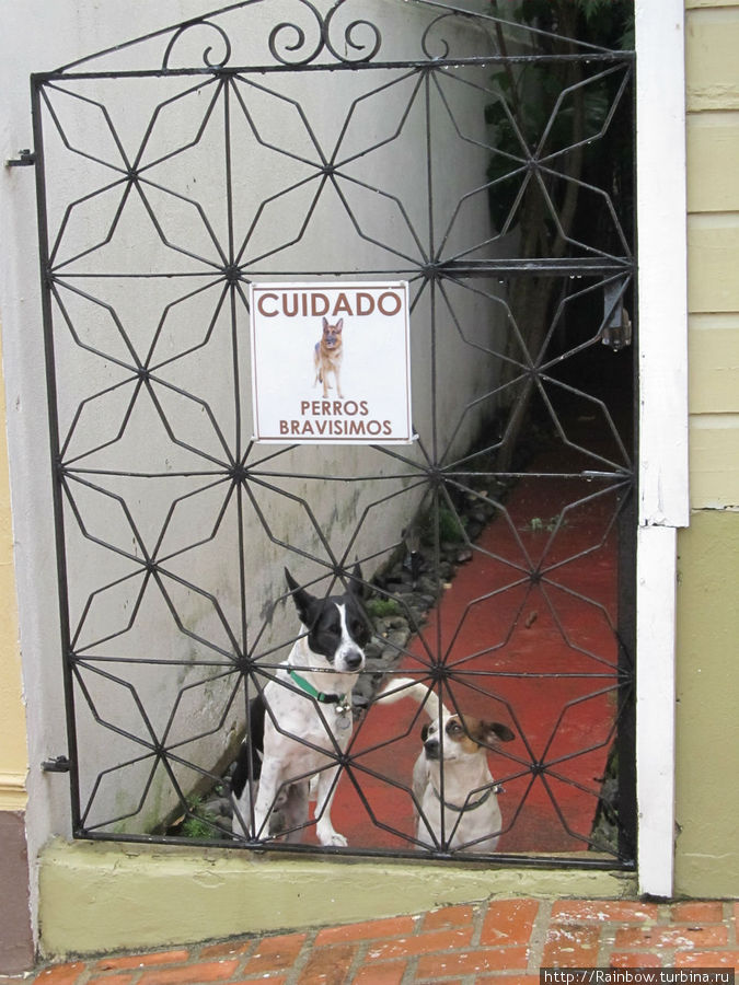 Ливень в Сан-Жермане Сан-Жерман, Пуэрто-Рико Ливень в Сан-Жермане Сан-Жерман, Пуэрто-Рико