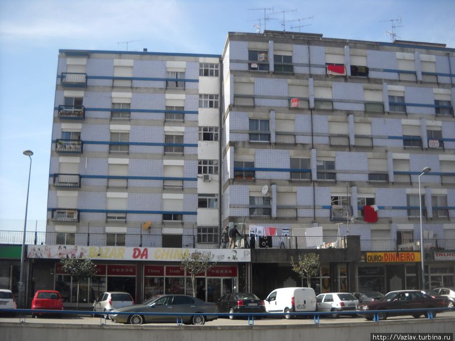 Разнообразие Разнообразие