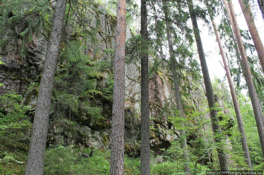Парк Реповеси. Лисьей тропой через скалы, леса и озёра #2 Реповеси Национальный Парк, Финляндия