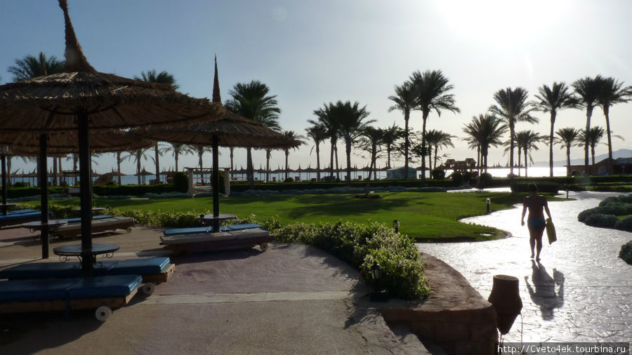 Египет. Курорт Шарм эль Шейх Шарм-Эль-Шейх, Египет