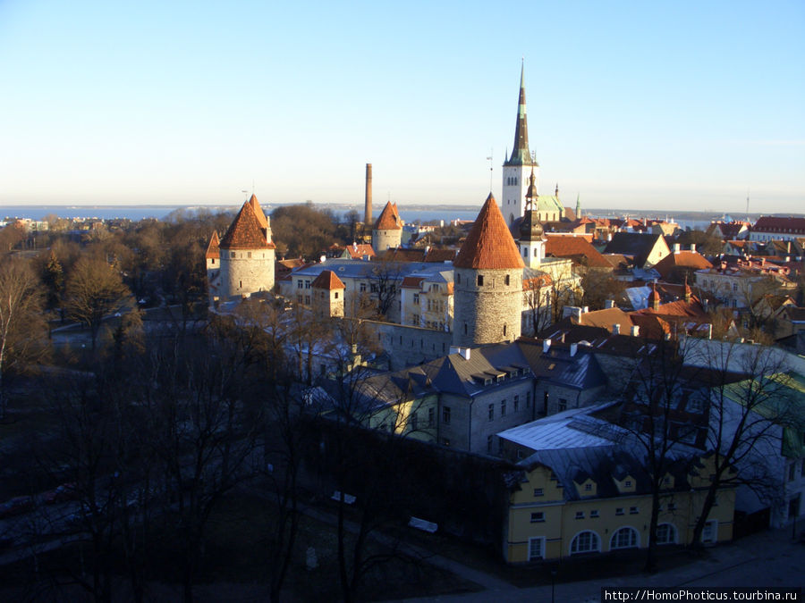 Январь в Таллин(н)е Таллин, Эстония