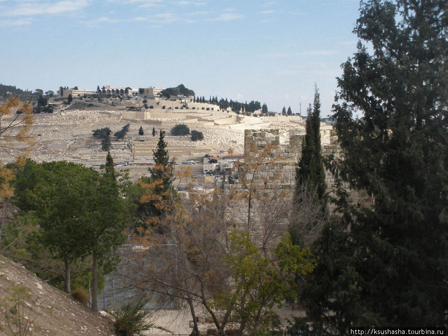 Прогулка в стенах Старого города. Иерусалим, Израиль