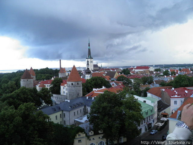 Крыши Старого Таллинна. Таллин, Эстония