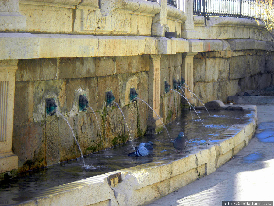 У голубей — банный день. У голубей — банный день.