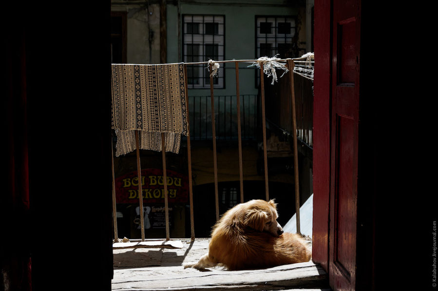 Фототреккинг по Карпатам — день 0 (Львов) Львов, Украина Фототреккинг по Карпатам — день 0 (Львов) Львов, Украина