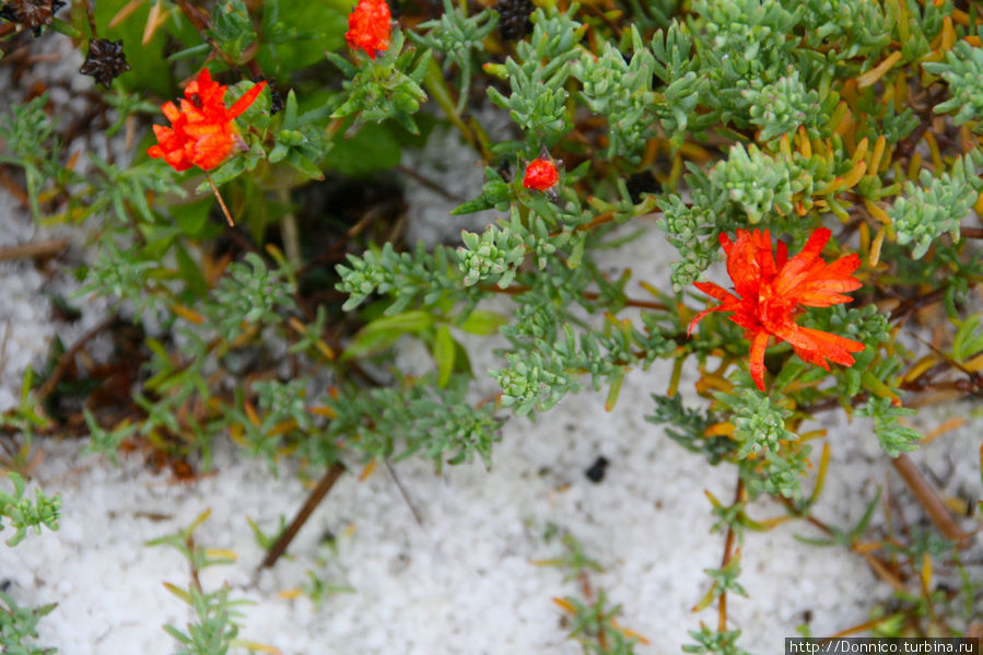 Люблю грозу в начале марта... Паламос, Испания Люблю грозу в начале марта... Паламос, Испания