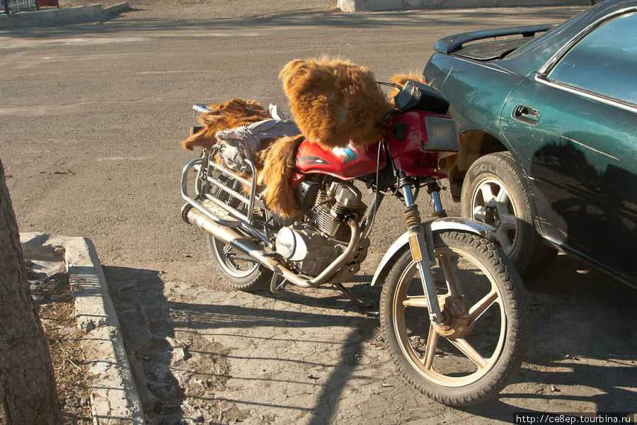 Зимой монголы гоняют на мотоциклах с особыми меховыми варежками интегрированными в руль Арвайхэр, Монголия