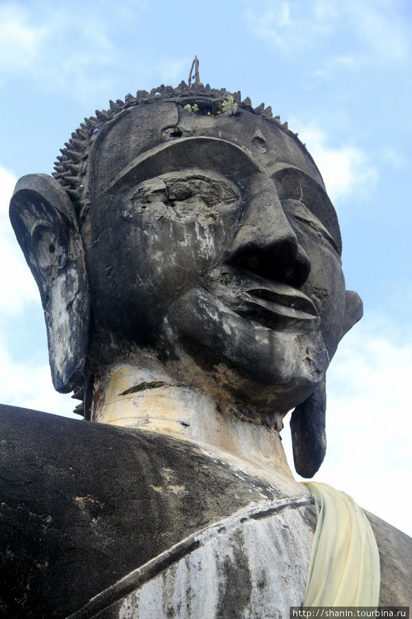 Голова Будды Провинция Сиенгкхуанг, Лаос
