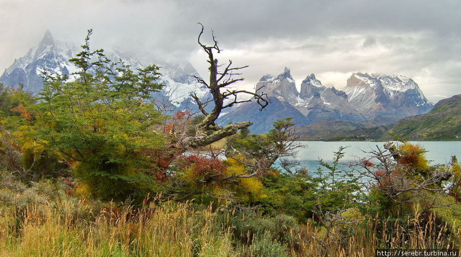 Треккинг в парке Torres Del Paine (день 9-11) Национальный парк Торрес-дель-Пайне, Чили