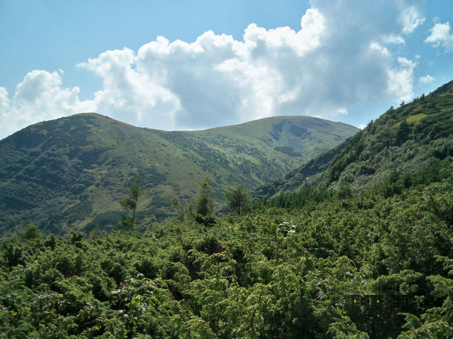 Как же красиво!!! Как же красиво!!!