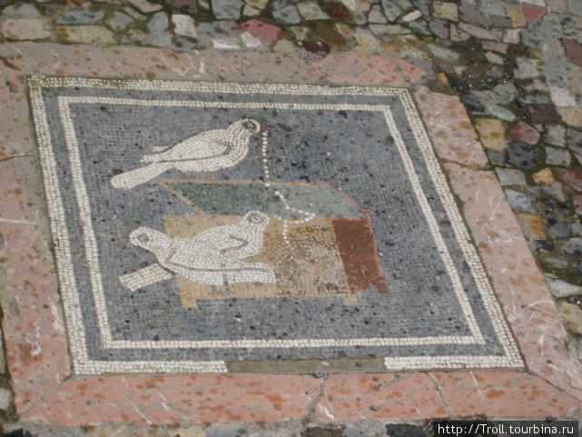 Голубки Помпеи, Италия