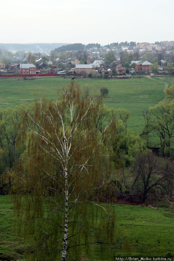 Вид с горы/холма, на которой расположен монастырь.

На самой верхушке уселась ворона :) Звенигород, Россия