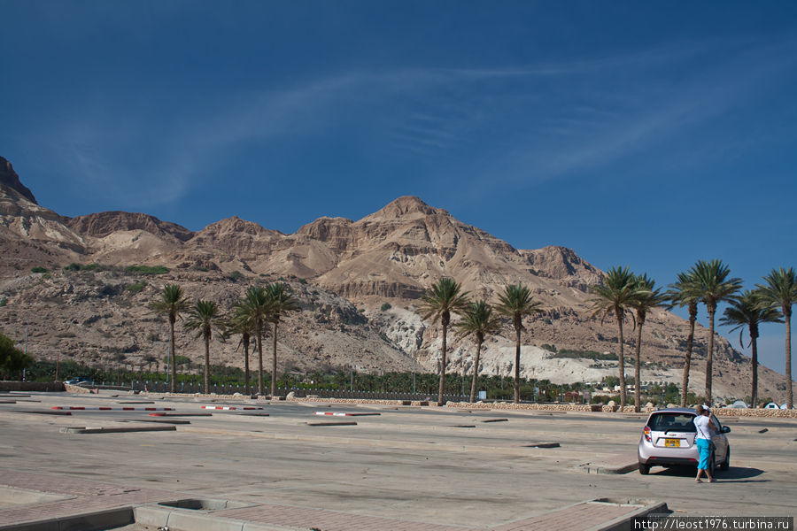 Минимальная заполненность парковки в 16:30 должна была нас насторожить Мертвое море, Израиль