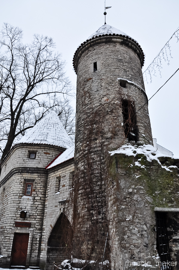 Башня Вируских ворот, построеных еще в 14-м веке. Таллин, Эстония