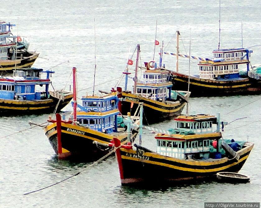 Основной улов вьетнамских рыбаков составляют  пангасиус, креветки и тунец, вполне знакомые нам названия. К примеру, ежегодно вьетнамцами вылавливается до 200 тысяч тонн тунца, а тунцеловный флот насчитывает более 10 тысяч судов Муй-Не, Вьетнам