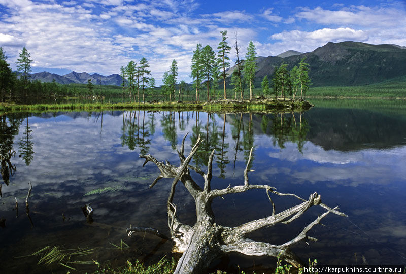 Третье озеро отличается наличием полуостровов. Саха (Якутия), Россия