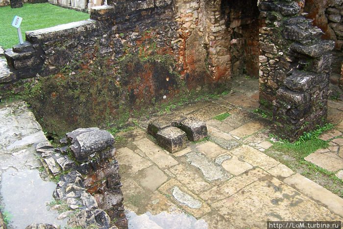 древний туалет Паленке, Мексика
