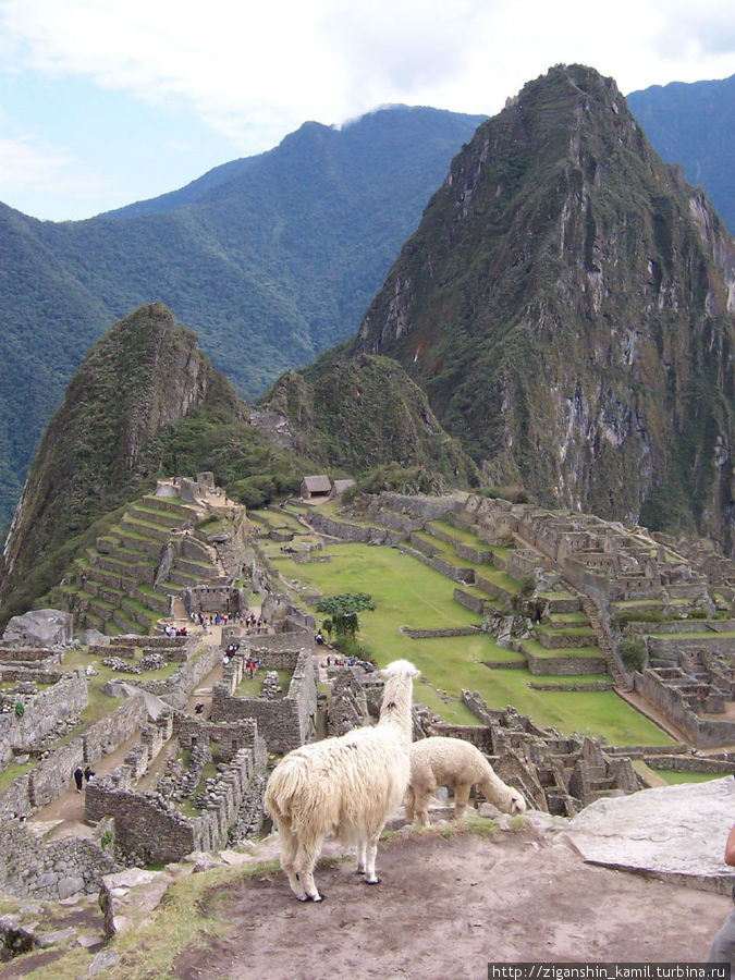 Глава 8. Мачу-Пикчу Мачу-Пикчу, Перу