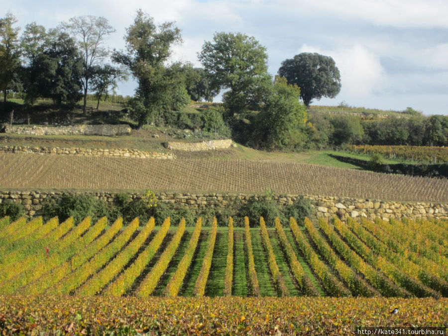 Самое сердце винной индустрии Сент-Эмильон, Франция