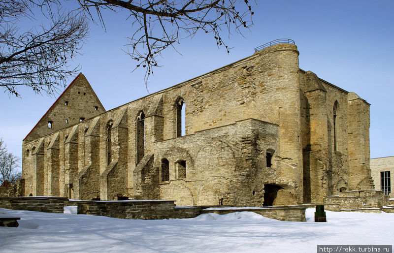 В монастыре Святой Бригиты, тоже в Пирита, снимался Город Мастеров Таллин, Эстония