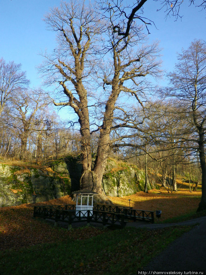 Парк и дом принца Евгения Стокгольм, Швеция