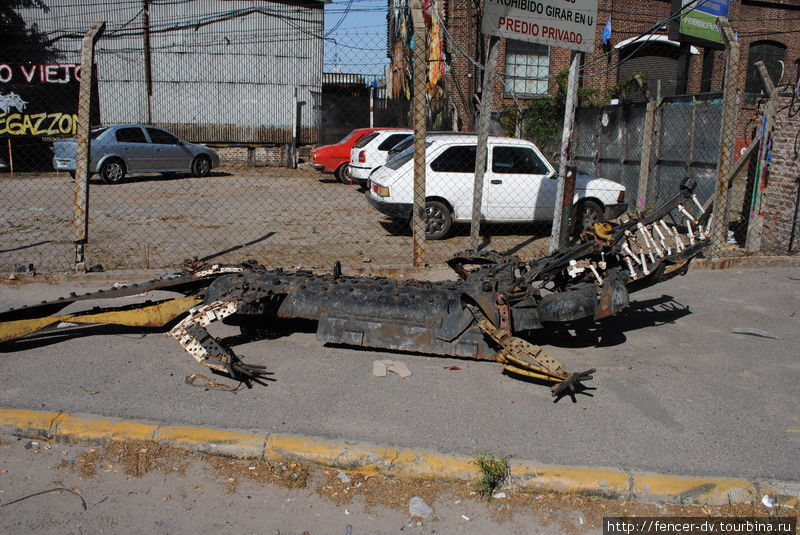 Издалека опознать в этом аллигатора проблематично, а вблизи — очень даже похож. Буэнос-Айрес, Аргентина