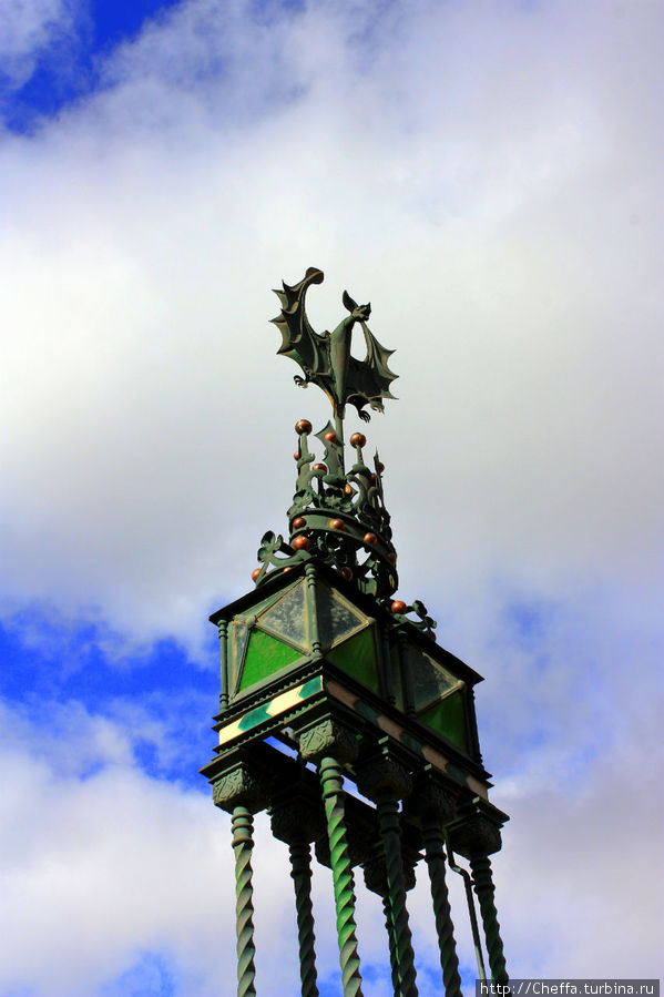 Летучая мышь.. Летучая мышь..