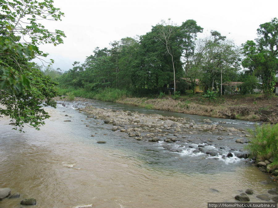 Алахуэла: василиски, игуаны и рояли Провинция Алахуэла, Коста-Рика