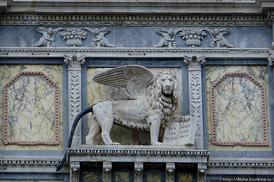 Ученый лев. Венеция, Италия