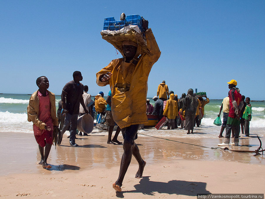 Рыбный рынок в Нуакшоте. Бригады носильщиков в ящиках на головах бегом перетаскивают рыбу из лодок на берег. Мавритания