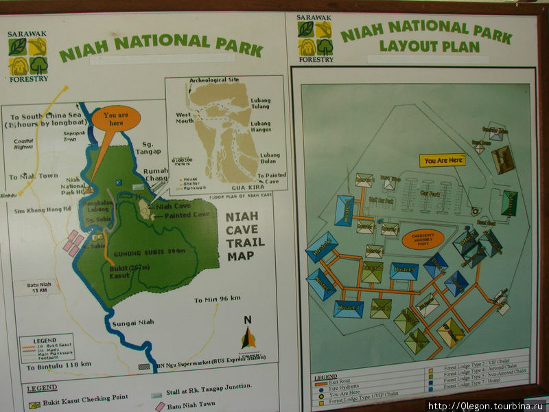 Схема-карта Нацпарка с пещерами Ниах гласит, что до города Мири 96 км.  Добраться из Мири просто- садитесь на автобус или такси до Пенгкалан-Бату (Pengkalan Batu) Мири, Малайзия